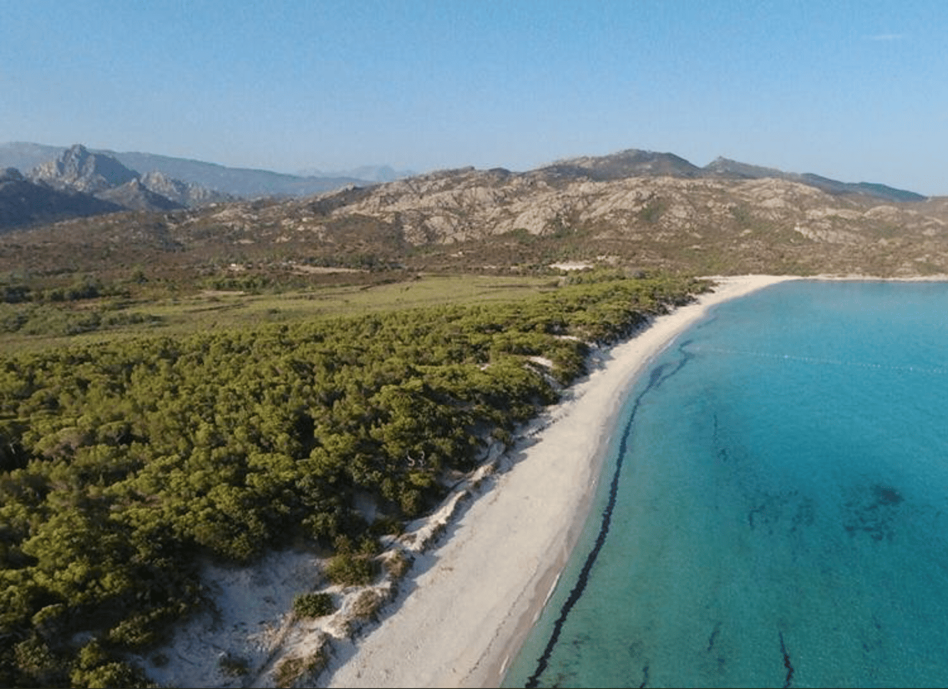 Fra Calvi: 4x4-dagstur til bjergene og Agriates' Saleccia-strand