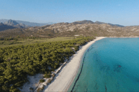 Desde Calvi, tour de 4x4 días en la playa de Saleccia - Hizvo