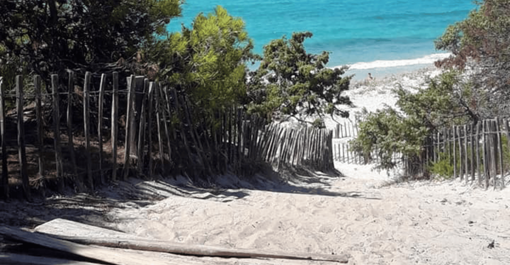 Desde Calvi, tour de 4x4 días en la playa de Saleccia - Hizvo