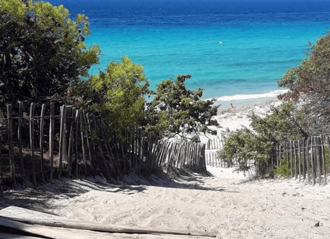 Fra Calvi: 4x4-dagstur til bjergene og Agriates' Saleccia-strand