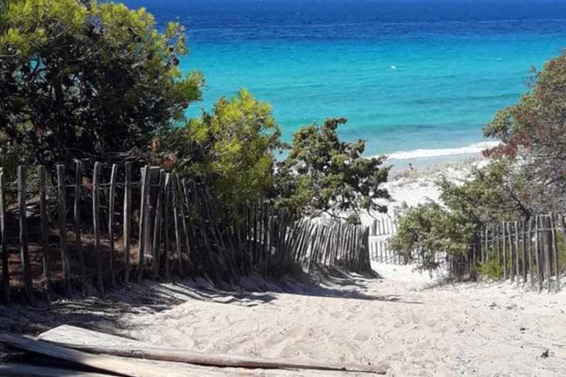 From Calvi: 4x4 Day Tour Mountain & Agriates' Saleccia Beach