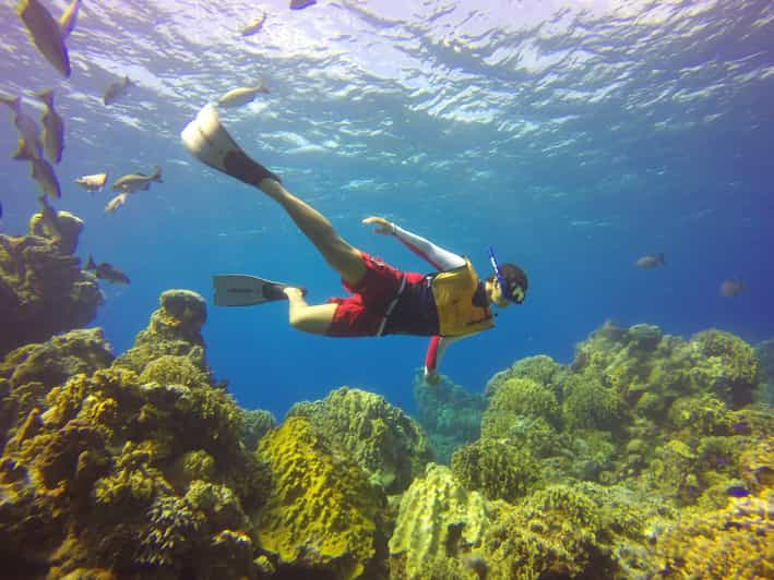 Cozumel: Snorkel Tour, El Cielo Bay & Playa Mia Beach Day | GetYourGuide