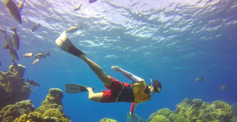 Cozumel: Snorkel Tour, El Cielo Bay & Playa Mia Beach Day | GetYourGuide