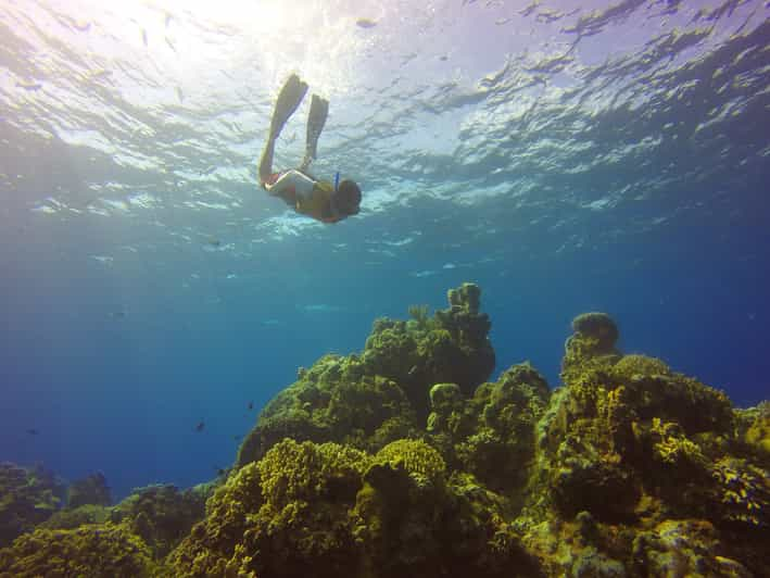 Cozumel: Snorkel Tour, El Cielo Bay & Playa Mia Beach Day | GetYourGuide