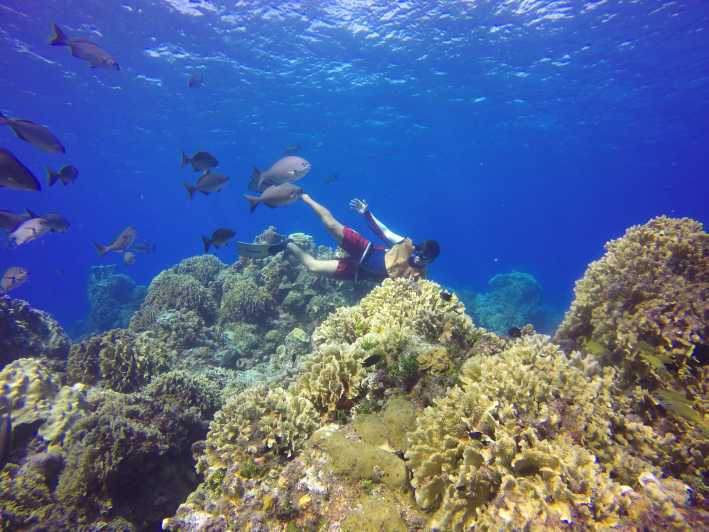 Cozumel: Snorkel Tour, El Cielo Bay & Playa Mia Beach Day | GetYourGuide