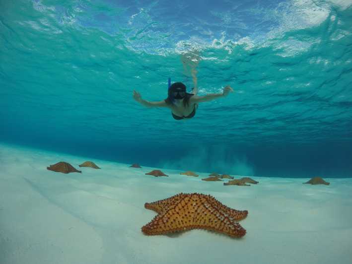Cozumel: passeio de snorkel, El Cielo Bay e Playa Mia Beach Day |  GetYourGuide