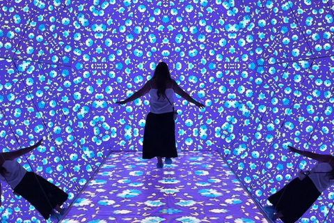 Manila: Ocean Park and Digital National Art Museum Pass