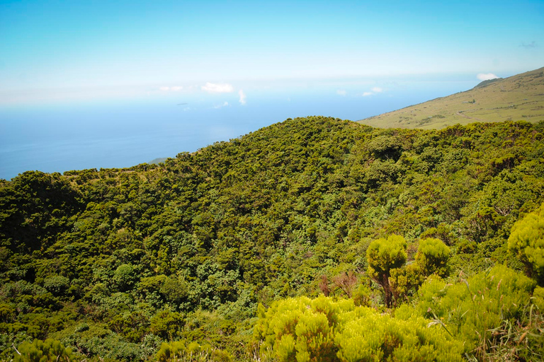 Desde Madalena: tour guiado de un día por los volcanes y lagos de Pico