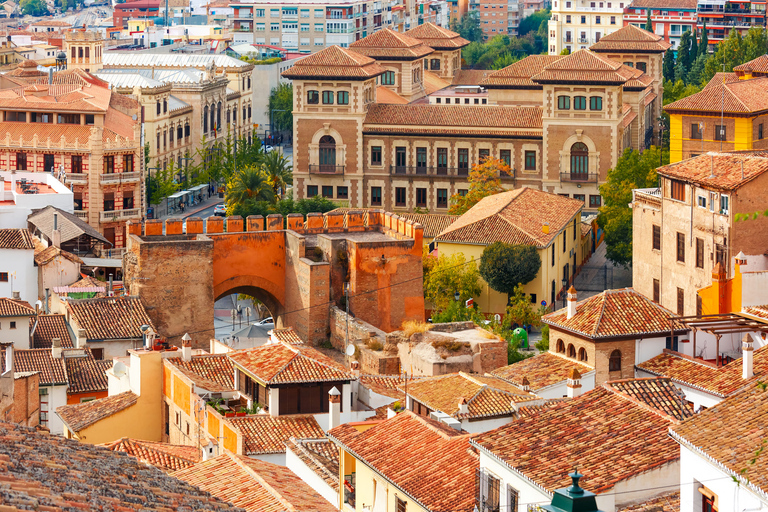 Da Siviglia: Escursione di un giorno a Granada con Alhambra e Albaicín