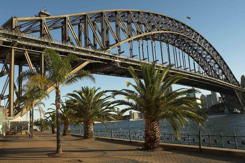 Sydney: Private City Exploration with Bondi Beach Tour