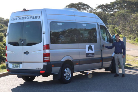 Sydney: Private Stadterkundung mit Bondi Beach Tour