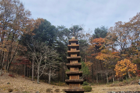 Retiro de bem-estar anti-envelhecimento: de Busan a Sancheong