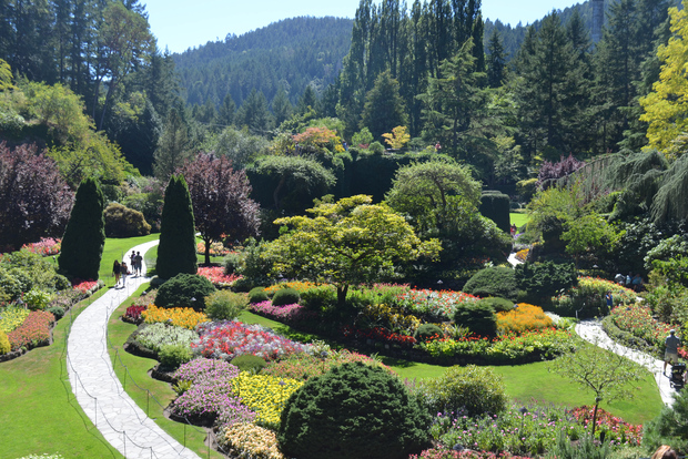 Victoria : navette express pour les jardins Butchart