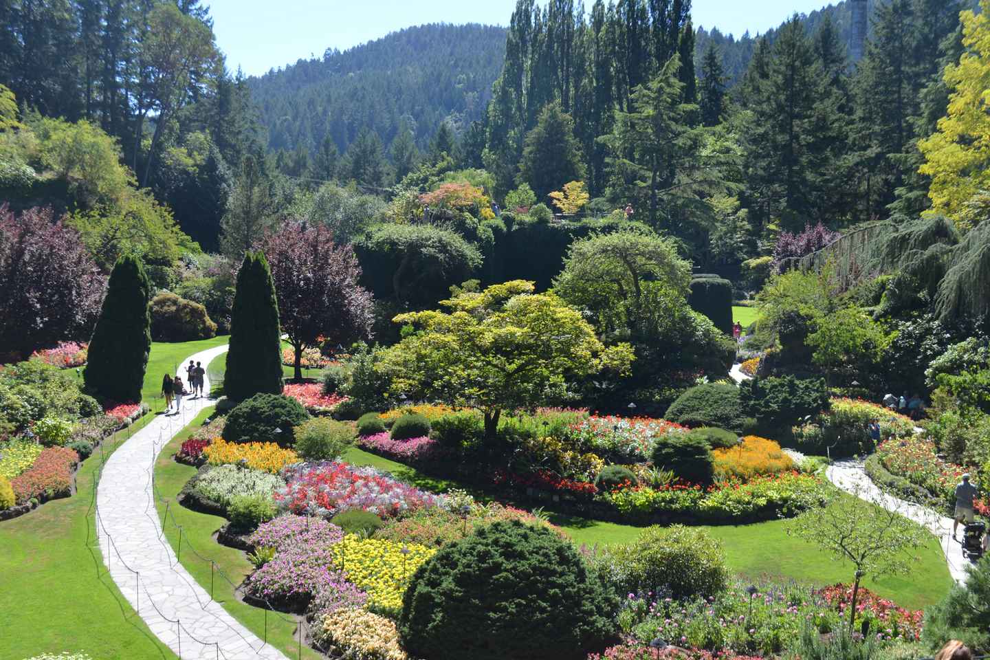 day trips from victoria bc | the butchart gardens