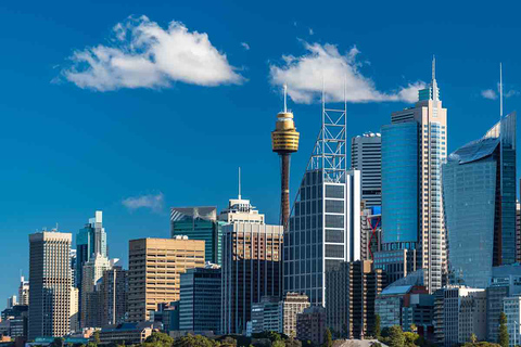 Sydney: Exploration de la ville privée avec Bondi Beach Tour