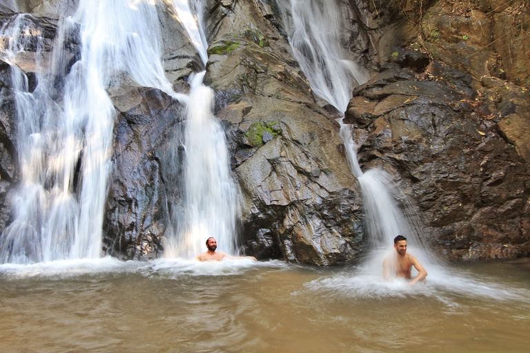 Chiang Mai: Excursión guiada por la selva y las cascadas con traslado