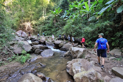 Chiang Mai: Excursión guiada por la selva y las cascadas con traslado