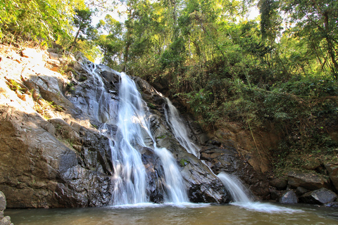 Chiang Mai: Geführte Dschungel- und Wasserfallwanderung mit Transfer