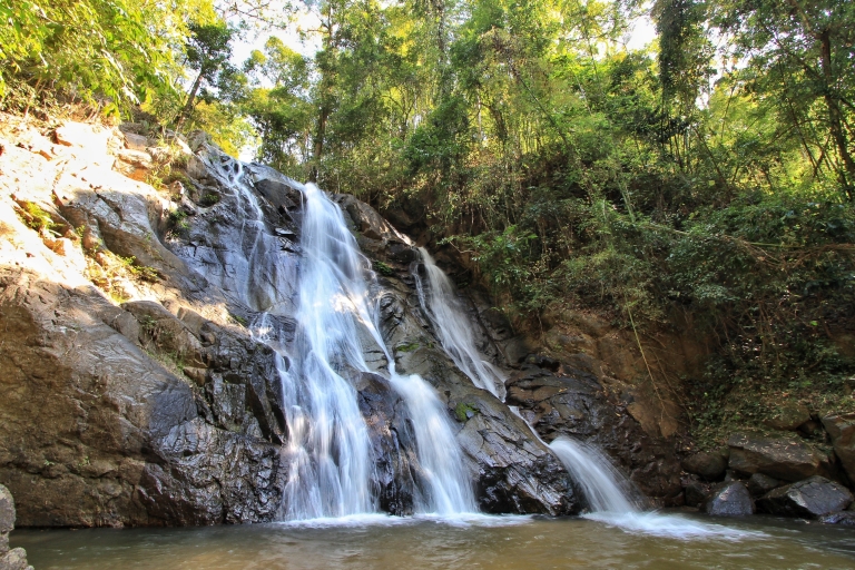 Chiang Mai: Excursión guiada por la selva y las cascadas con traslado