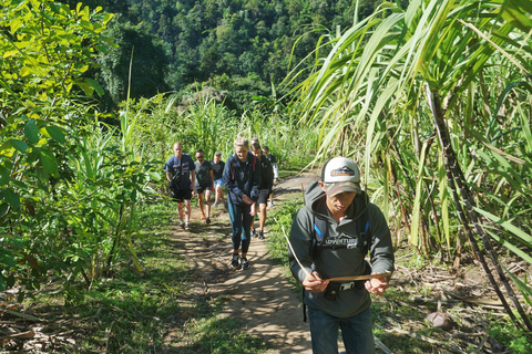 Chiang Mai: Excursión guiada por la selva y las cascadas con traslado