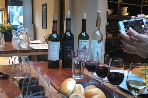 Buenos Aires: visite privée à pied de Palerme et dégustation de vinBuenos Aires: visite privée à pied de Palerme et dégustation de vins