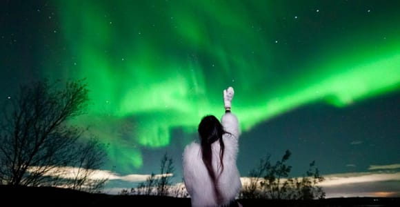 Rovaniemi Aurora Fire & Flavour — Arctic Gastronomy Tour