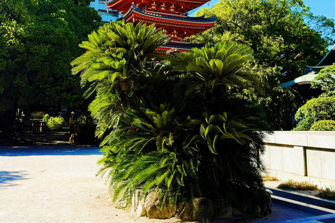 Fukuoka: Hakata Old Town Temples, Shrines and History Tour
