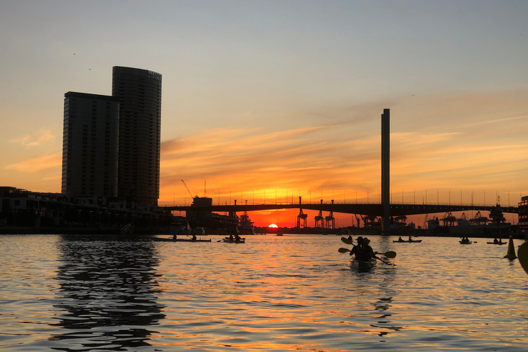 Melbourne: tour in kayak al tramonto con cenaTour in kayak al chiaro di luna di Melbourne