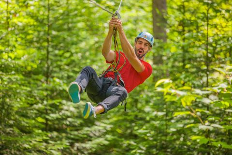 From Montreal: Treetop Trek, Zipline and agri tourism visits