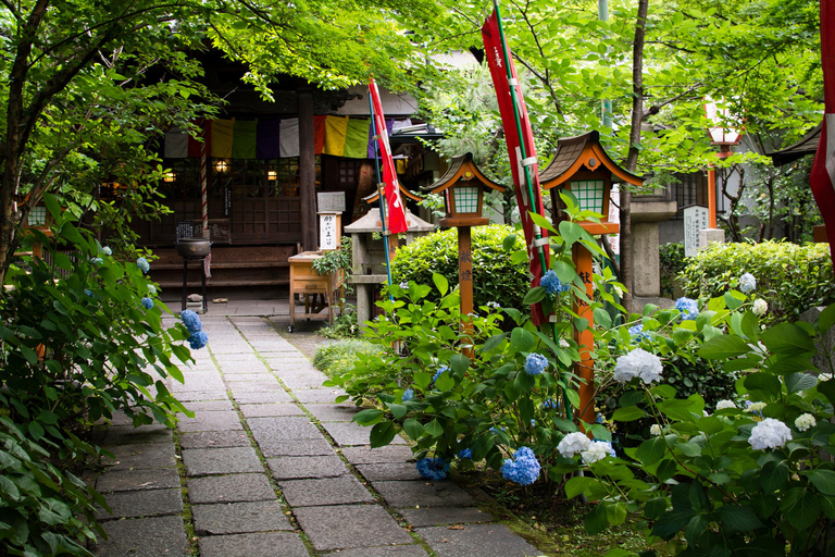 Kyoto: Fushimi Sake District Tour with Boat Ride Small Group Tour