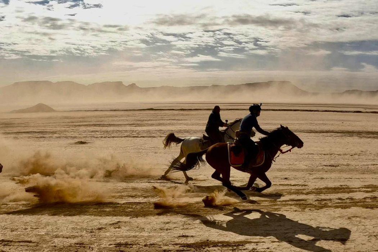 رحلة ركوب الجمال التقليدية في الدوحة وتجربة قيادة سيارات الدفع الرباعي الحديثة على الطرق الوعرةال