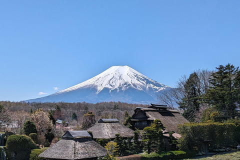 MOUNT FUJI FULL DAY CUSTOMIZED PRIVATE (ENGLISH GUIDED) TOUR