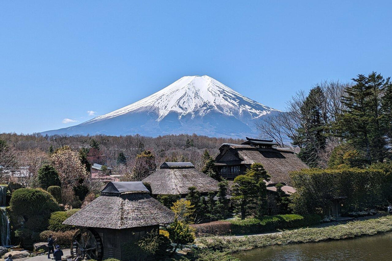 MOUNT FUJI FULL DAY CUSTOMIZED PRIVATE (ENGLISH GUIDED) TOUR