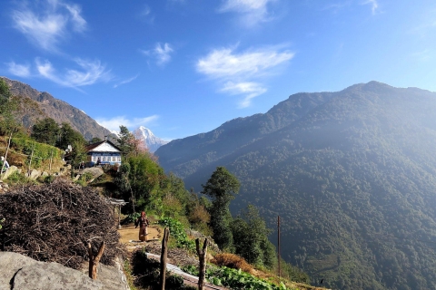 Excursión de 4 días a Poon Hill desde Pokhara