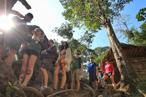 Chiang Mai: Excursión guiada por la selva y las cascadas con traslado