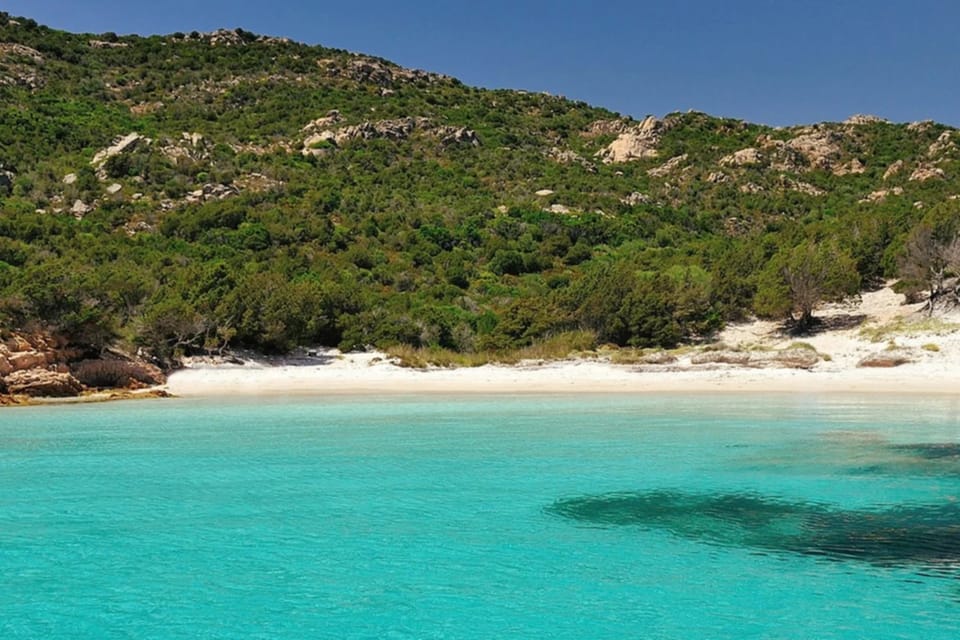 La Maddalena: Caprera, Spargi, Budelli y Santa María en barco ...