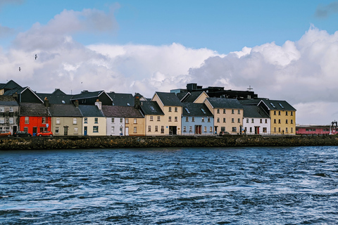 From Dublin: Cliffs of Moher, Kilmacduagh, and Galway Tour Tour in Spanish