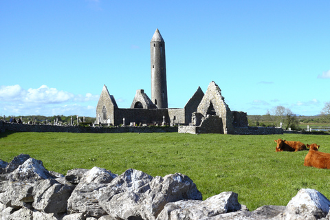 From Dublin: Cliffs of Moher, Kilmacduagh, and Galway Tour Tour in Spanish