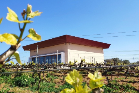 Ciutadella de Menorca: Rodzinna wycieczka po winnicy z degustacją wina