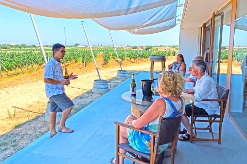 Ciutadella de Menorca : visite d'une cave familiale avec dégustation de vins