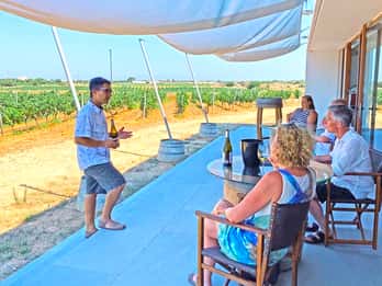 Ciutadella de Menorca: Family Winery Tour with Wine Tasting