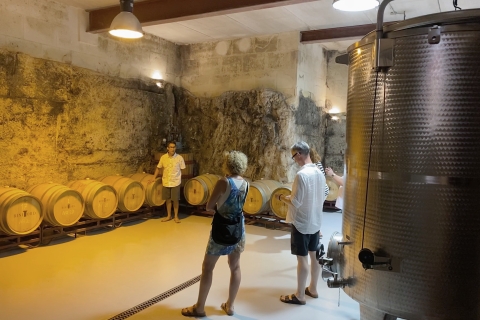 Ciutadella de Menorca: visita familiar a la bodega con cata de vinos