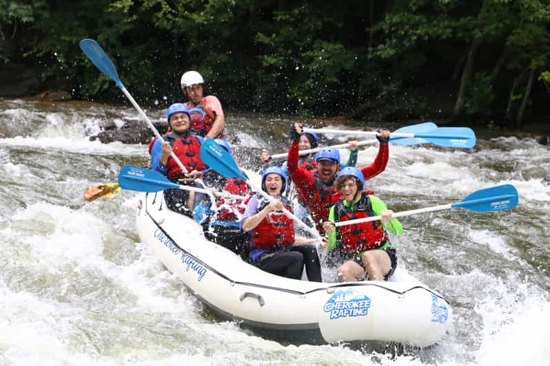 Middle Ocoee River Whitewater Rafting Trip GetYourGuide