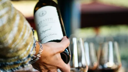 Valpolicella: Kellertour mit Rotwein&Cicchetti-Verkostung