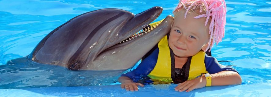 Hurghada: Dolphin Show at Dolphin World with Hotel Pickup