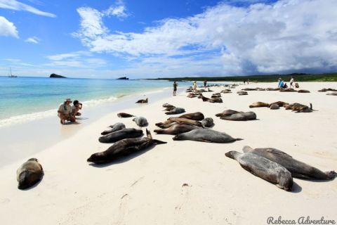 Van Seymour: 4-daagse Galápagos-eilandentour met hotel en eten