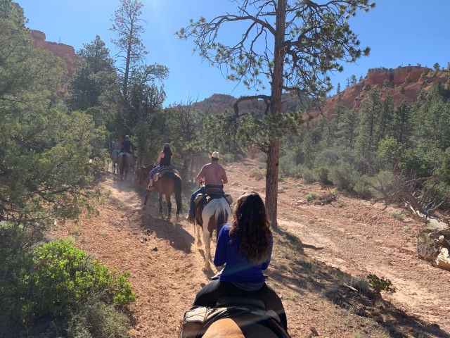 Visit Bryce Canyon City Red Canyon Horse Riding Day Trip w/ Lunch in Bryce Canyon