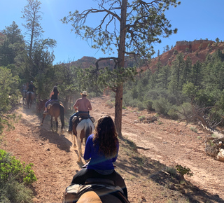 Day Trips and Tours from Bryce Canyon National Park