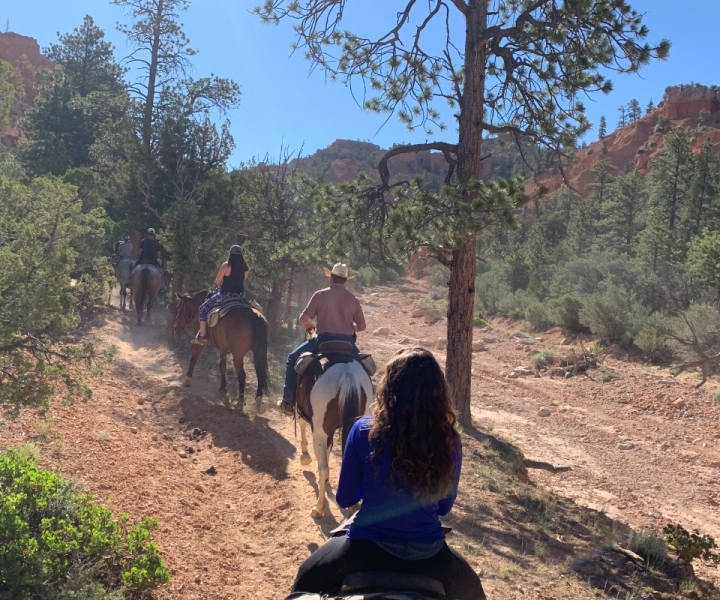 Bryce Canyon City: Red Canyon Horse Riding Day Trip w/ Lunch