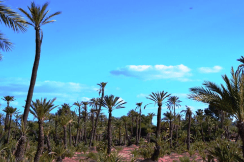 Majorelle Garden and Palmeraie Camel Ride Tour